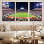Wolfpack Football Team Print, Raleigh Carter-Finley Stadium