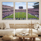 TCU Horned Frogs Football Team Print, Fort Worth Amon G. Carter Stadium, Framed and Ready to Hang