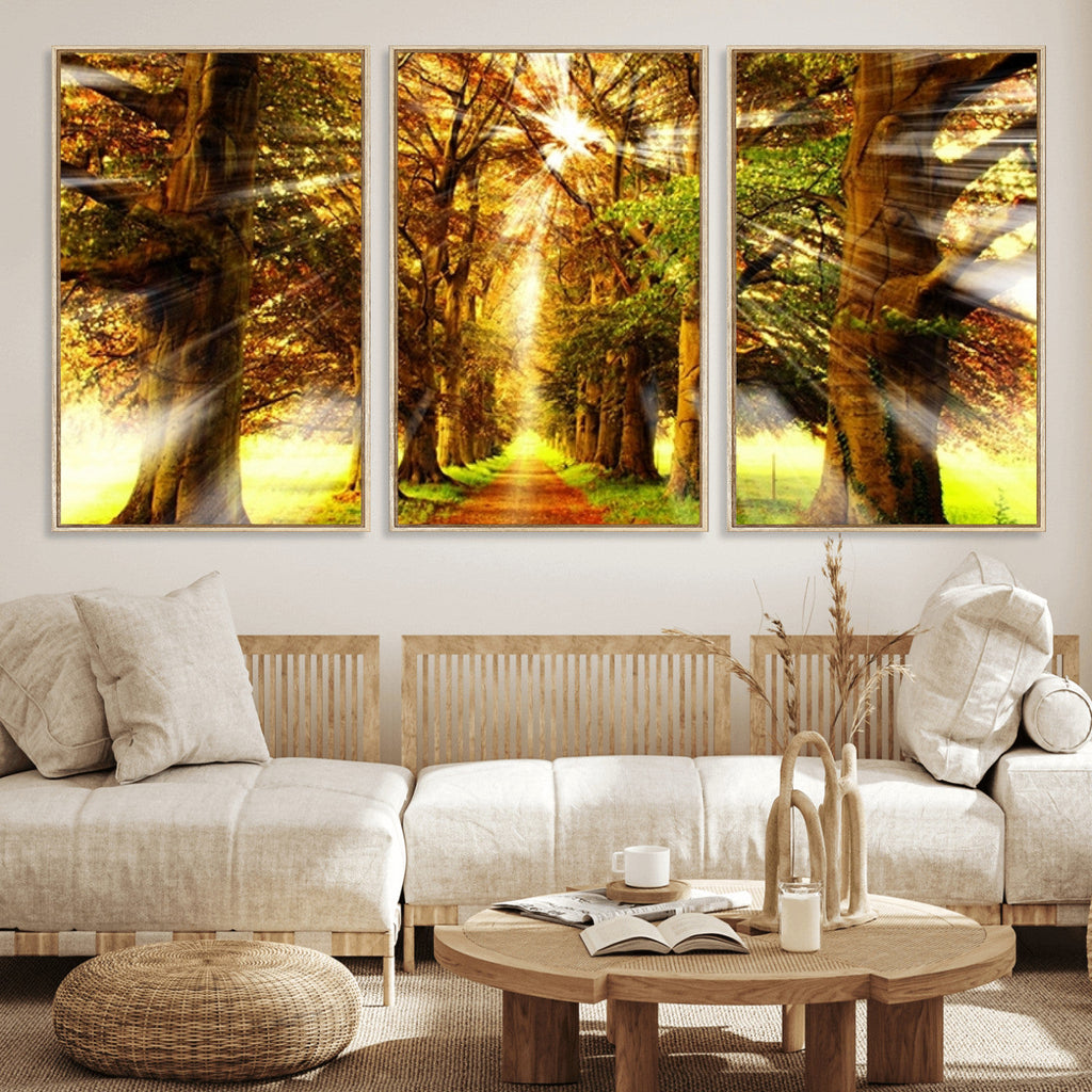 Sunshine in Forest and Trees Wall Art Canvas Print