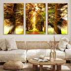 Sunshine in Forest and Trees Wall Art Canvas Print