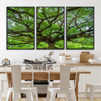 Ancient Tree Wall Art Canvas Print, Framed Sprawling Branches