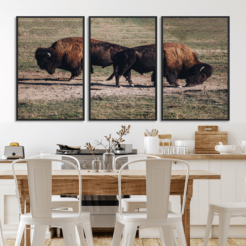 Bison Wall Art Canvas Print, Framed Western Wildlife Modern Ranch