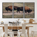 Bison Wall Art Canvas Print, Framed Western Wildlife Modern Ranch