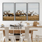 Elk Herd Wall Art Canvas Print, Framed Wildlife Photography Art, Majestic Antlers Rustic Wildlife Decor