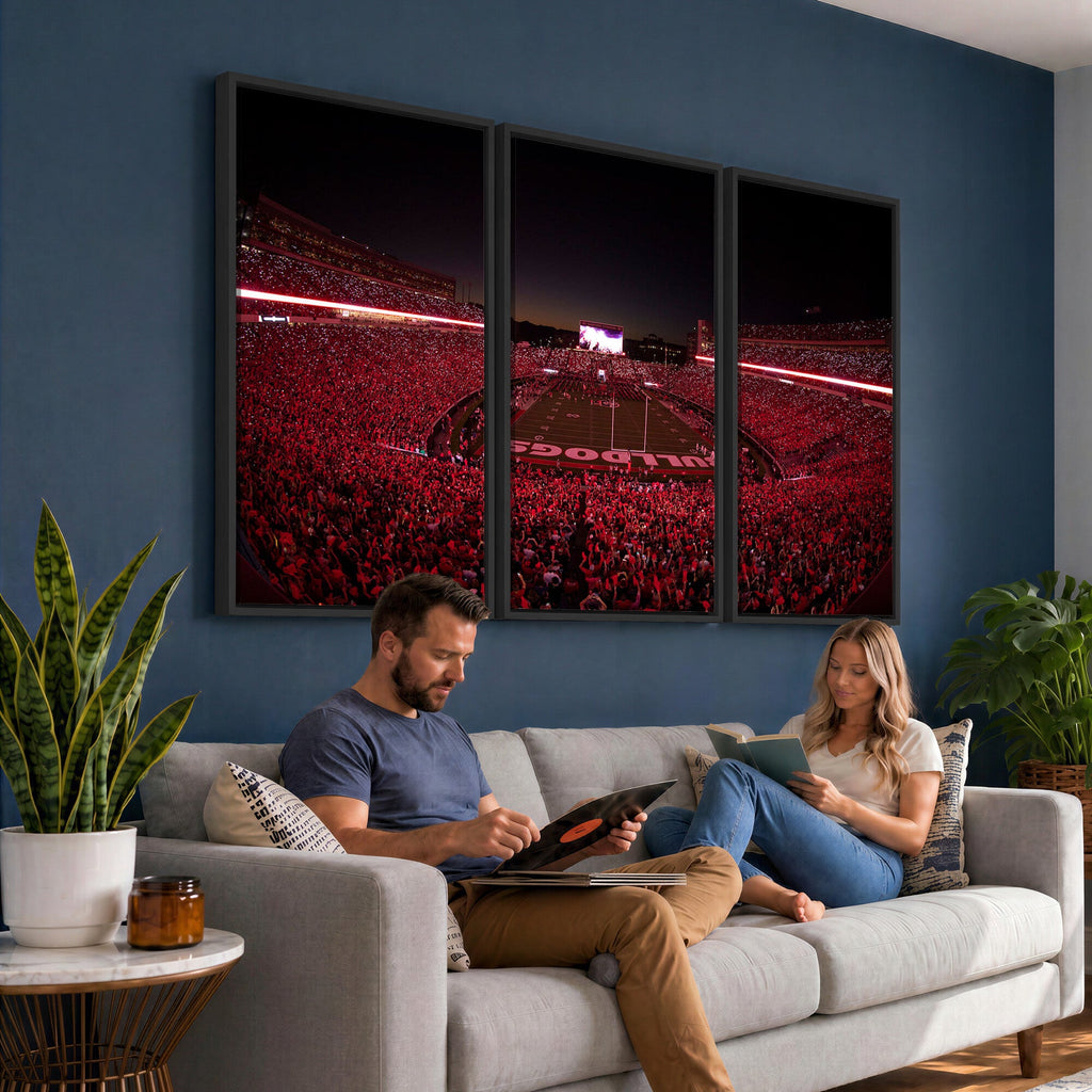 Dooley Stadium Wall Art, Sports Arena Canvas Print, Dooley Field Sanford Stadium