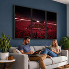 Dooley Stadium Wall Art, Sports Arena Canvas Print, Dooley Field Sanford Stadium
