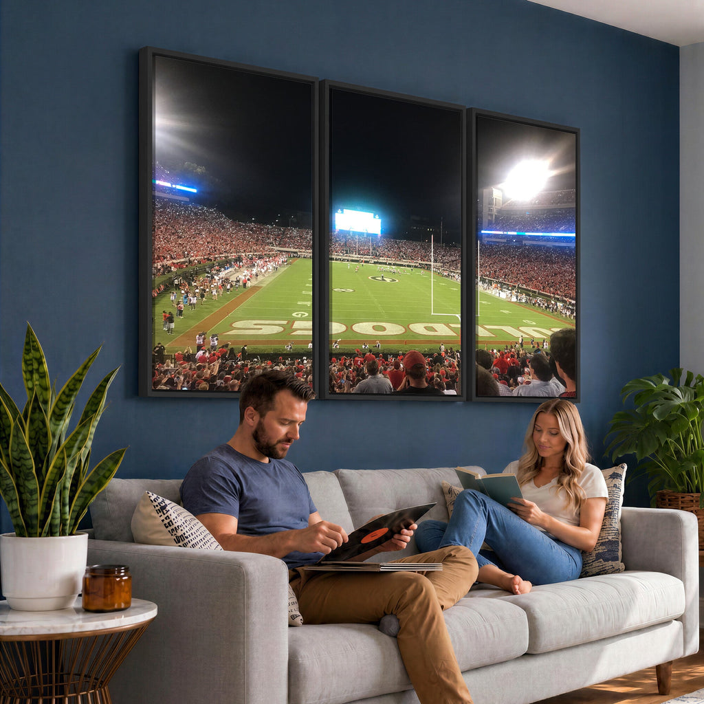 Dooley Stadium Wall Art, Sports Arena Panoramic Canvas