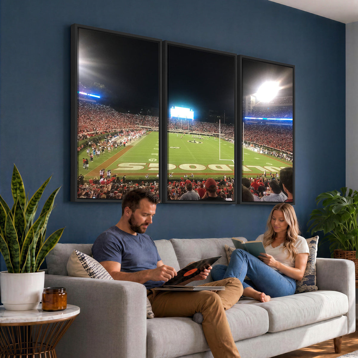 Dooley Stadium Wall Art, Sports Arena Panoramic Canvas
