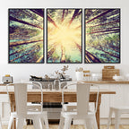 Tree and Sunshine Canvas Print