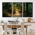Sunlit Forest Pathway Canvas Print | 3 Panel Large Nature Wall Art