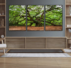 Majestic Oak Tree Wall Art Canvas Print | Ancient Branches