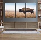Wild Bison Wall Art | Framed Prairie Landscape Canvas