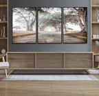Cypress Tunnel Wall Art | Framed Misty Road Canvas Artwork