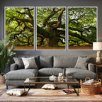Angel Oak Tree Wall Art Canvas Print | Forest Tree Nature Photography Print