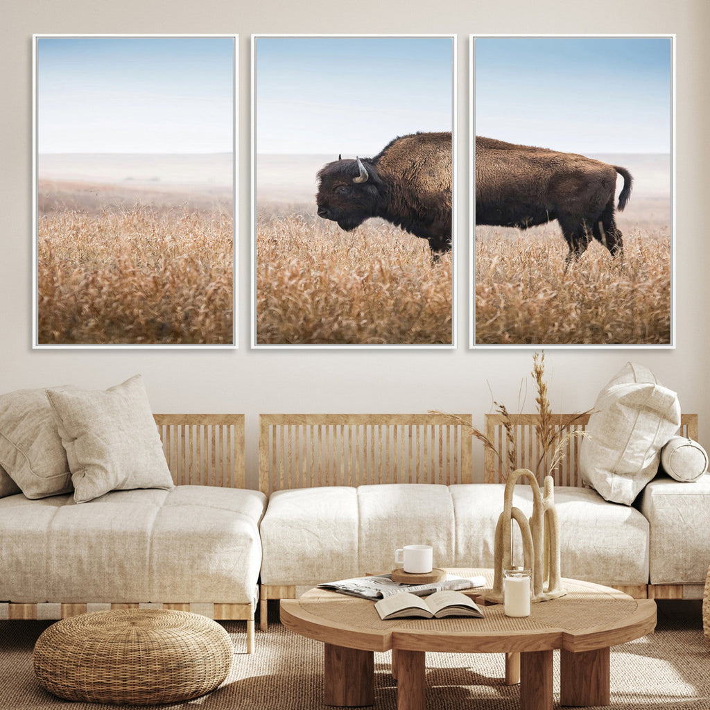 Wild Bison Wall Art | Framed Prairie Landscape Canvas