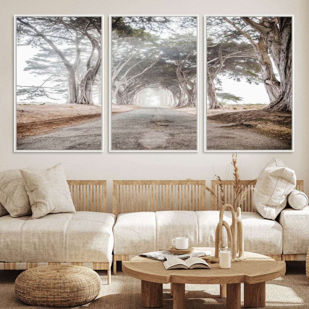 Cypress Tunnel Wall Art | Framed Misty Road Canvas Artwork