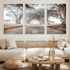 Cypress Tunnel Wall Art | Framed Misty Road Canvas Artwork