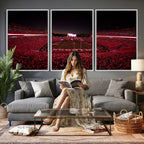 Dooley Stadium Wall Art, Sports Arena Canvas Print, Dooley Field Sanford Stadium