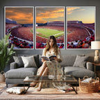 Dooley Stadium Wall Art, Sports Arena Canvas Print, Dooley Field, Framed and Ready to Hang