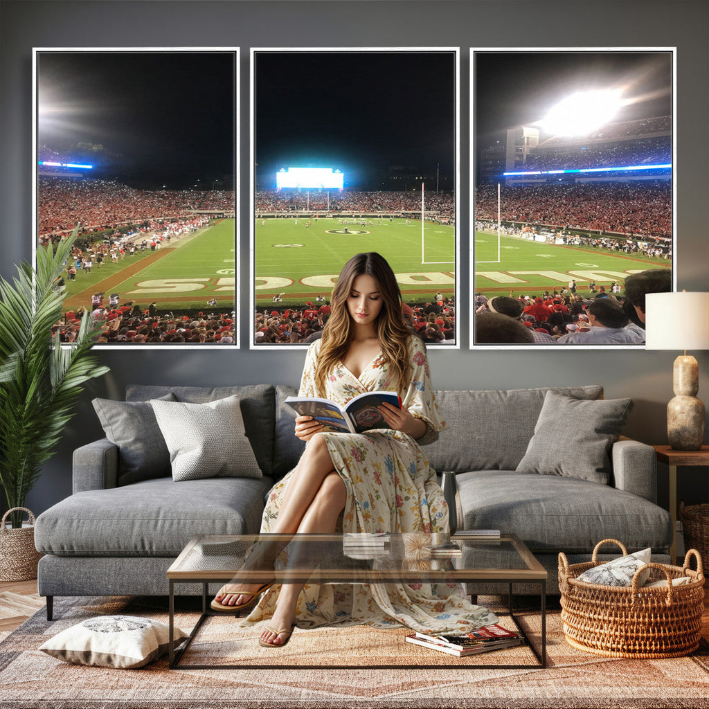 Dooley Stadium Wall Art, Sports Arena Panoramic Canvas