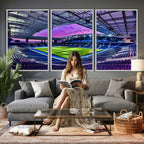 FC Porto Soccer Team Print Canvas, Dragon Stadium Wall Art