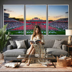 NC State Wolfpack Football Team Print Wall Art, Raleigh