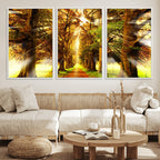Sunshine in Forest and Trees Wall Art Canvas Print
