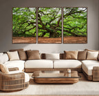 Majestic Oak Tree Wall Art Canvas Print | Ancient Branches