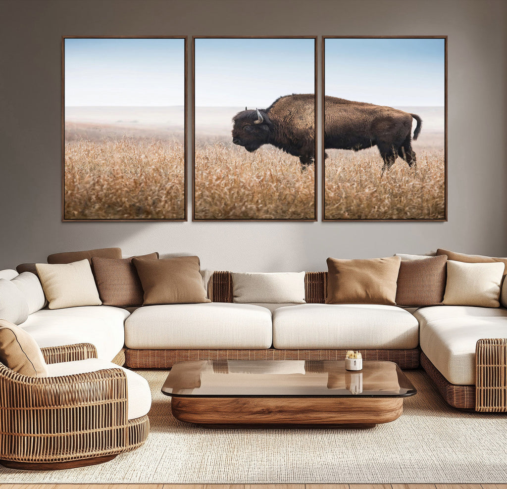 Wild Bison Wall Art | Framed Prairie Landscape Canvas