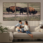 Bison Wall Art Canvas Print, Framed Western Wildlife Modern Ranch