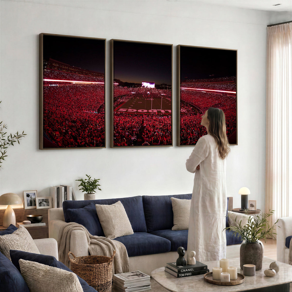 Dooley Stadium Wall Art, Sports Arena Canvas Print, Dooley Field Sanford Stadium