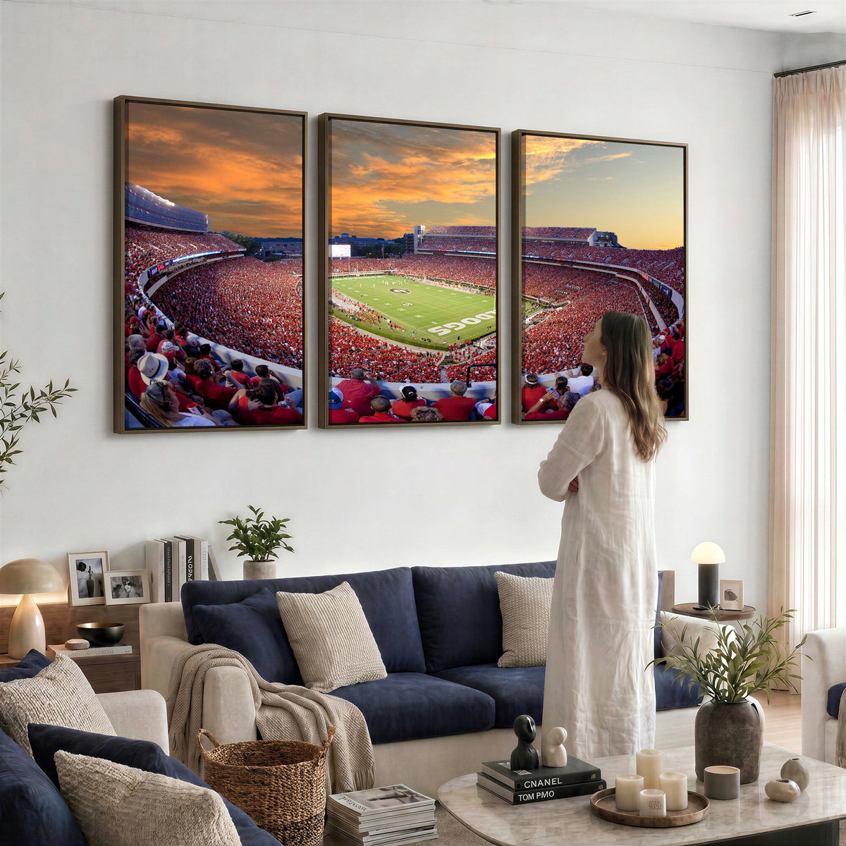 Dooley Stadium Wall Art, Sports Arena Canvas Print, Dooley Field, Framed and Ready to Hang