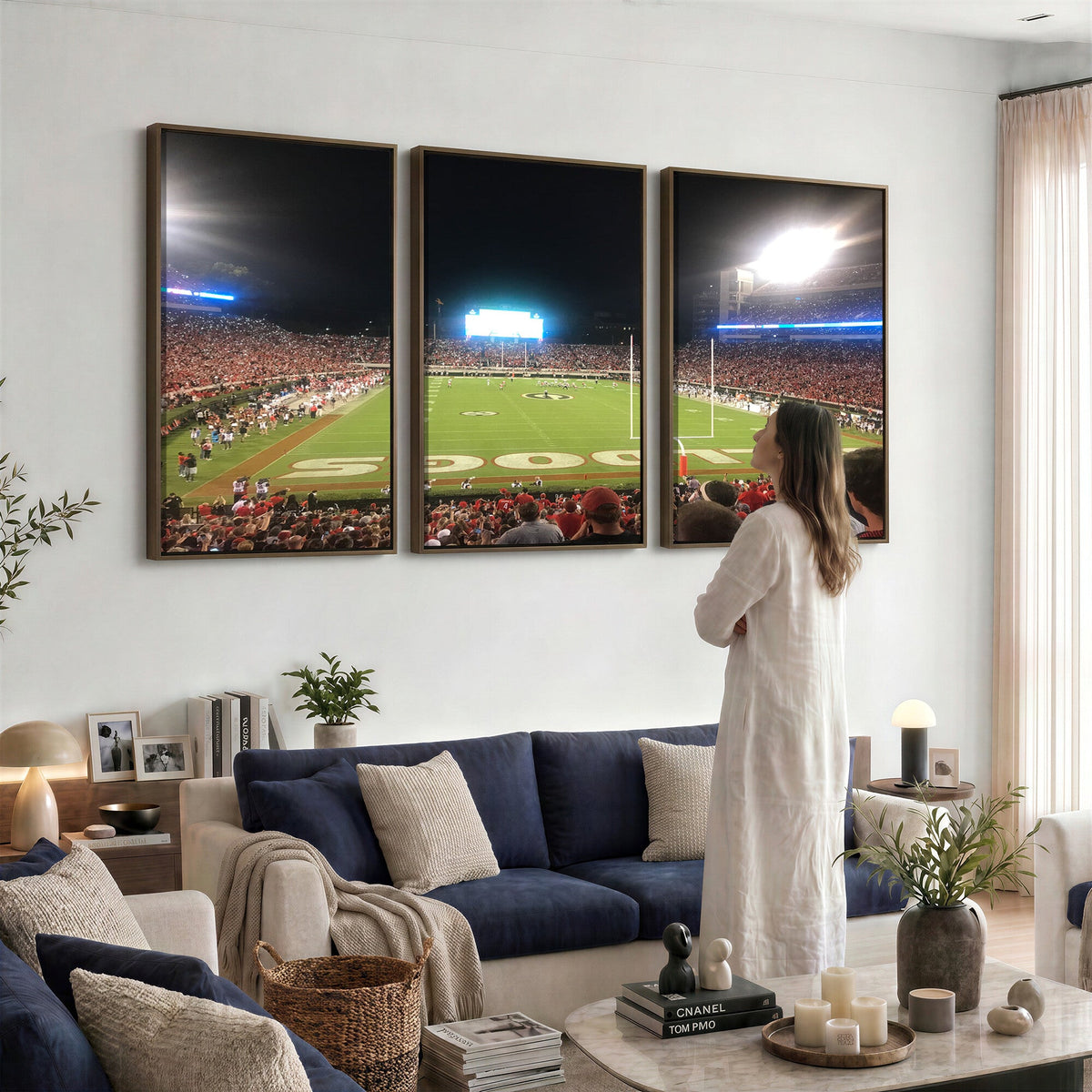 Dooley Stadium Wall Art, Sports Arena Panoramic Canvas