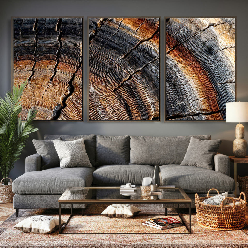 Abstract Tree Ring Wall Art Print, Natural Rustic Wood Grain Canvas