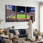 Wolfpack Football Team Print, Raleigh Carter-Finley Stadium