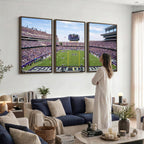 TCU Horned Frogs Football Team Print, Fort Worth Amon G. Carter Stadium, Framed and Ready to Hang