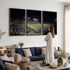 TCU Horned Frogs Football Team Print, Fort Worth Amon G. Carter Stadium