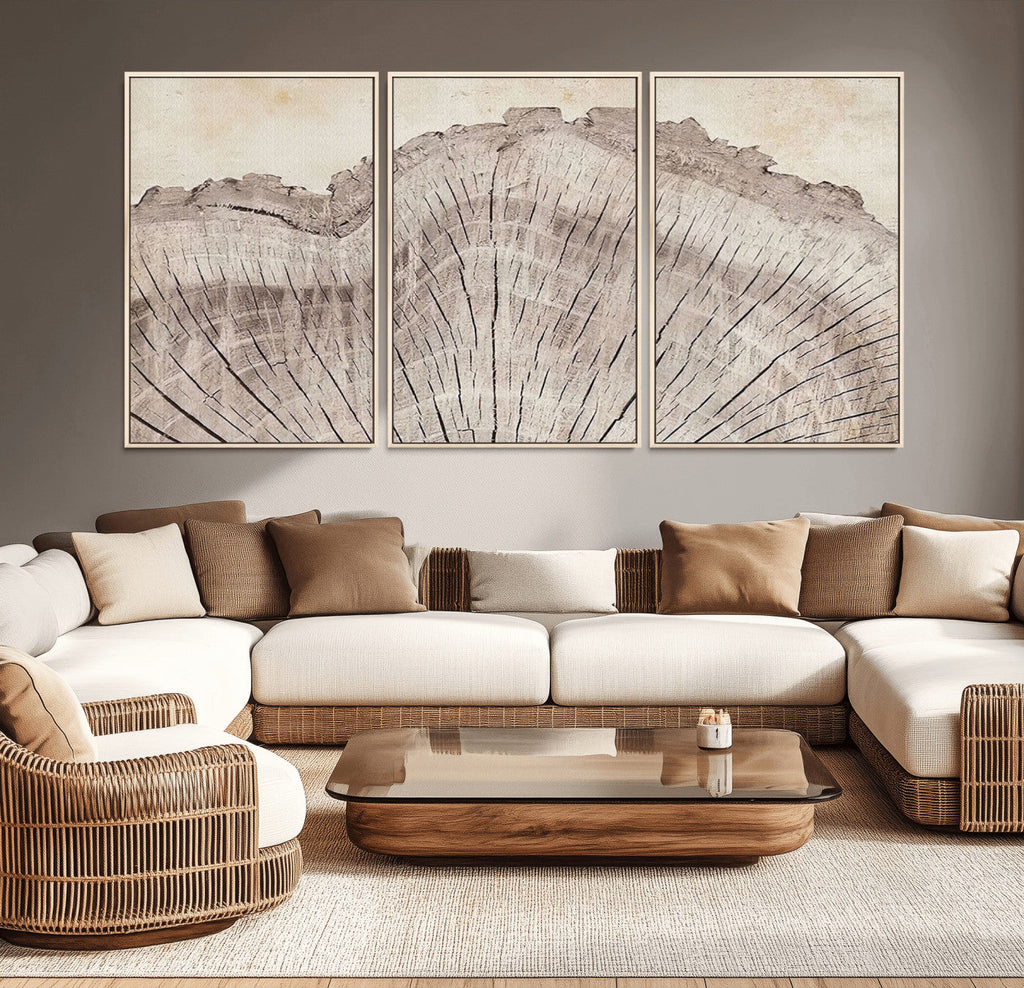 Tree Ring Wall Art Triptych, Rustic Wood Ring Canvas Print