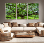 Ancient Tree Wall Art Canvas Print, Framed Sprawling Branches