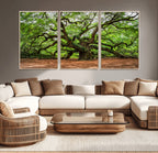 Majestic Oak Tree Wall Art Canvas Print | Ancient Branches