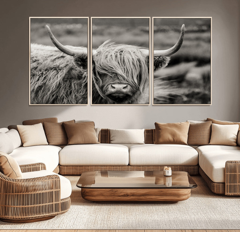 Cow Focus Canvas Wall Art Print