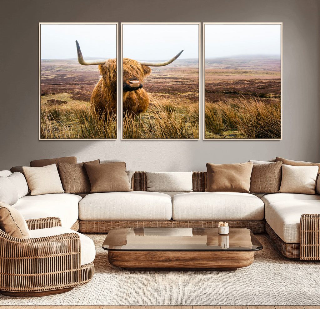 Scottish Highland Cow Canvas Wall Art, Rustic Farmhouse Decor