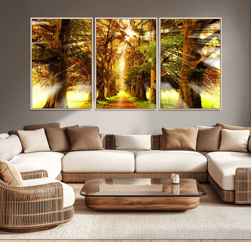 Sunshine in Forest and Trees Wall Art Canvas Print
