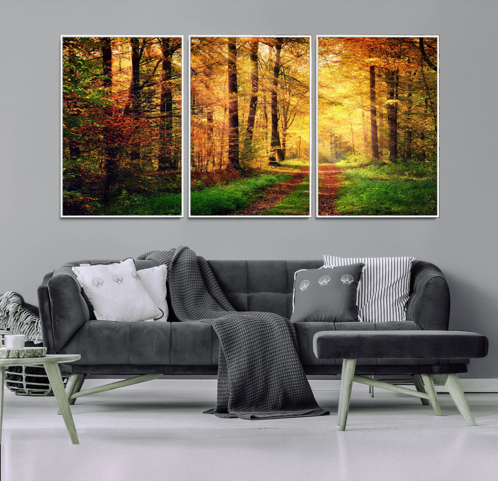 Sunlight Through Trees Wall Art Canvas Print | Autumn Forest Wall Art