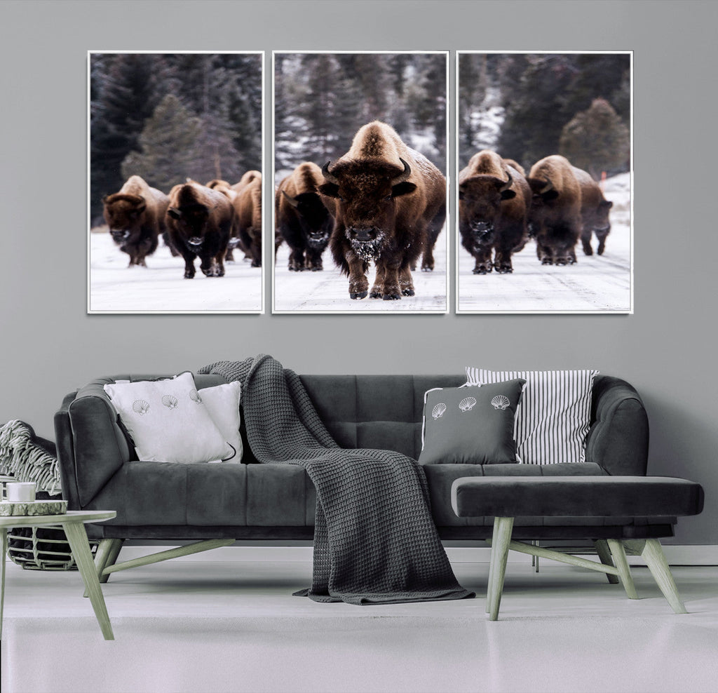 Bison Wall Art Canvas Print, Bison Herd Canvas Wall Art