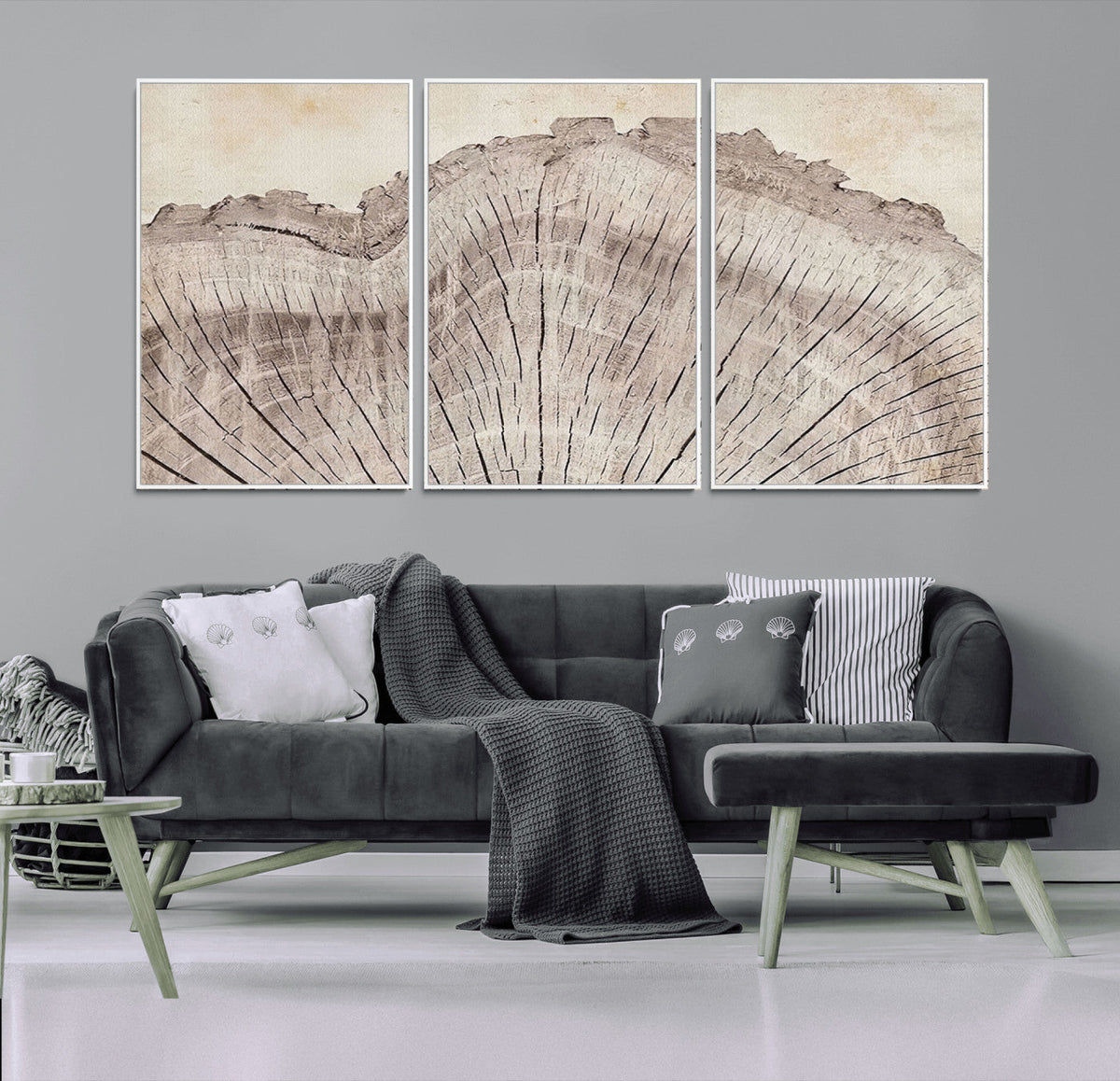 Tree Ring Wall Art Triptych, Rustic Wood Ring Canvas Print