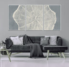 Abstract Tree Ring Wall Art Canvas Print, Framed and Ready to Hang