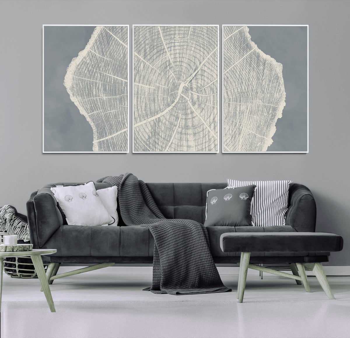 Abstract Tree Ring Wall Art Canvas Print, Framed and Ready to Hang