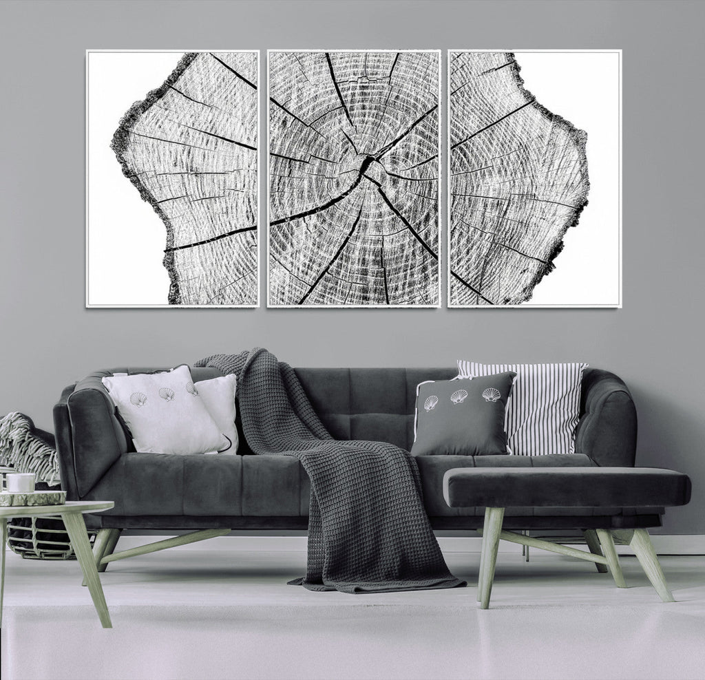 Rustic Tree Ring Wall Art Canvas Print, Framed and Ready to Hang