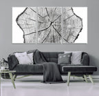Rustic Tree Ring Wall Art Canvas Print, Framed and Ready to Hang